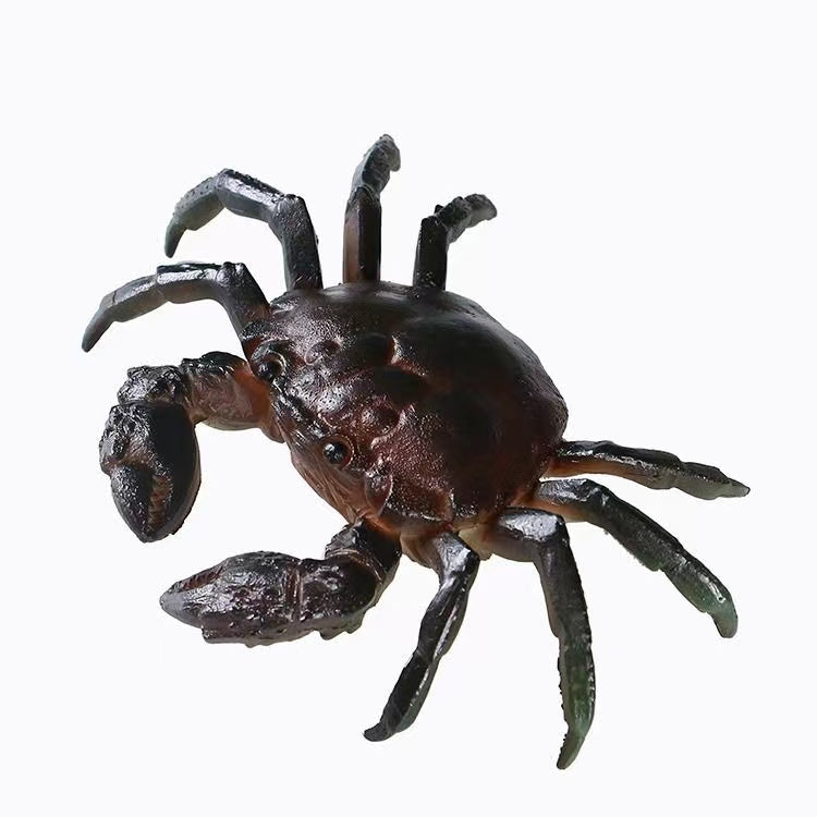 Color changing crab tea pet