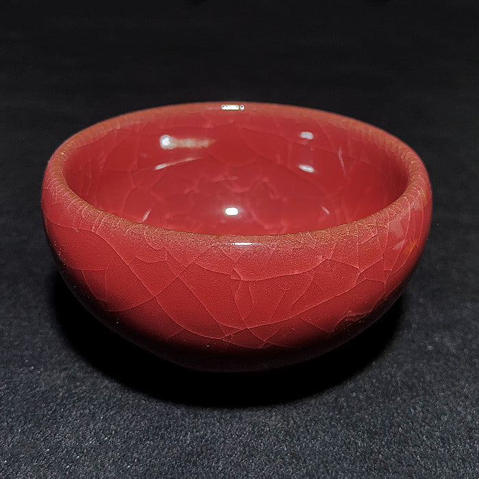 New Customer Benefits - Ice cracked Teacup